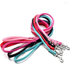 Hondenkragen huisdier katten puppy honden riem lang gladde pu lederen ontgrent solide wandelaaraccessoires met 5 kleuren