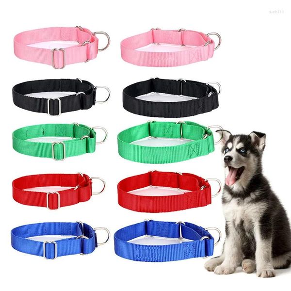 Colliers de chien collier de compagnie de laisse ACCESSIONNES DE CAT CHAT ADMINATION