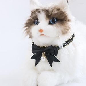 Colliers de chien collier pour animaux de compagnie bijoux de chats dentelle