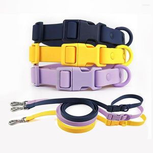 Colliers de chien laisse de collier pour animaux de compagnie avec accessoires de cou de boucle à dégagement rapide réglable pour petit moyen grand
