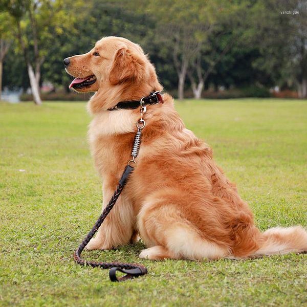 Collares para perros, Collar para mascotas, correa de cuero para gran tracción, cadena de cuerda de remolque, suministros, accesorios para evitar el paseo fuera de control