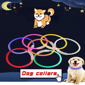 Collares para perros, Collar para mascotas, carga USB, luz nocturna brillante, anillo LED, cadena, punto de joyería, venta al por mayor, fluorescencia