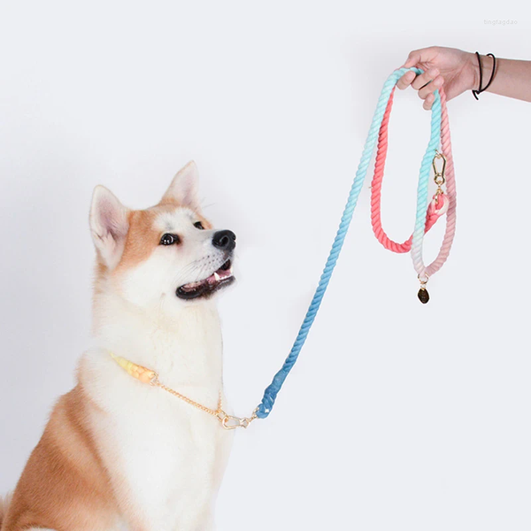 Collares para perros Collar degradado de algodón para mascotas Collar medio P Cachorro hecho a mano para perros pequeños, medianos y grandes Pug