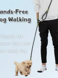 Colliers de chien chiens de compagnie de sécurité traction corde mains libres de mode libre nylon