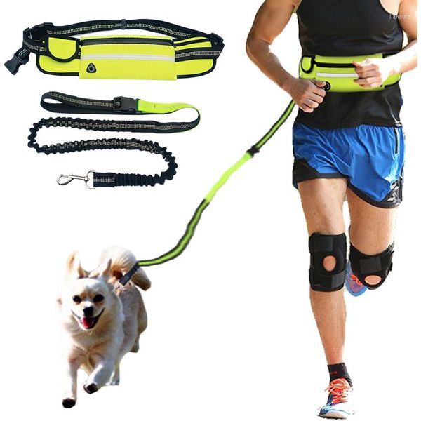 Colliers pour chiens ceinture élastique pour animaux de compagnie ensemble de laisses de course laisses mains libres collier accessoires pour animaux de compagnie chiot chiens traction extérieure