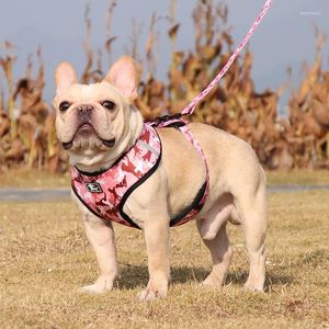 Hondenkragen Pet Harness Leiben Set Training Leads voor kleine katten honden bloemenprintkraag aanpassen aanpassing