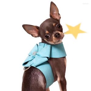 Colliers pour chiens, harnais pour animaux de compagnie, petite et moyenne taille, laisse pour chat, costume, type gilet, ceinture de Traction, fournitures et accessoires