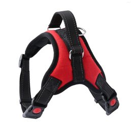 Collari per cani Guinzaglio per animali domestici Collare a catena Para Perro Accessori Tag Harness