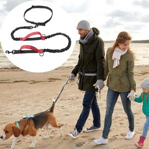 Hondenkragen Pet Leibele Portable Outdoor lopen Reflecterende dubbele intrekbare ketting