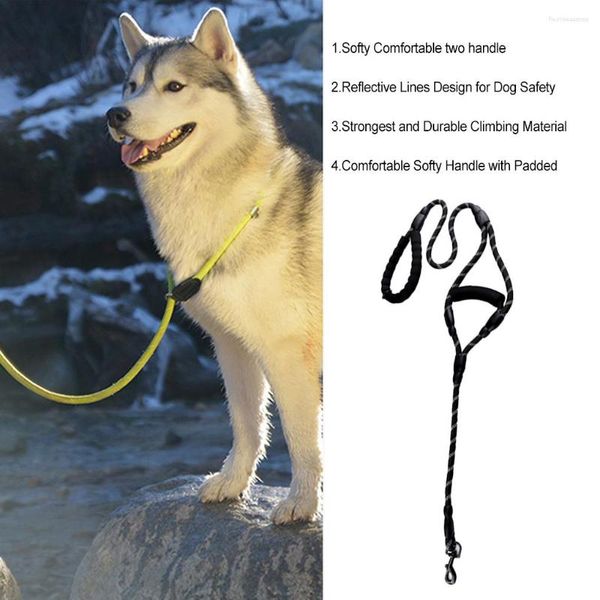 Colliers pour Chiens Laisse pour Animaux de Compagnie Corde Réglable Réfléchissante Traction Extérieure Bungee Ceinture Sangle Petit Grand Moyen Animaux Fournitures Noir 12mmx150cm