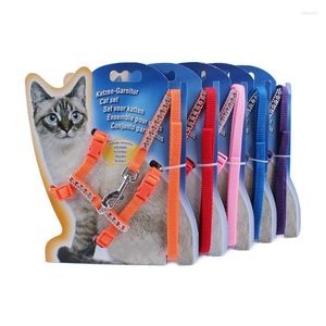 Colliers pour chiens laisses pour animaux de compagnie et ensemble laisses pour chiots pour petits chiens chat concepteur strass réglable harnais en Nylon accessoires