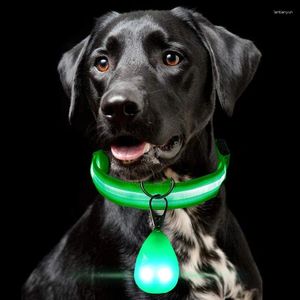 Colliers pour chiens et animaux de compagnie, pendentif lumineux LED, lueur dans la nuit, Anti-perte, USB, promenade nocturne, chat et fournitures de collier multicolores