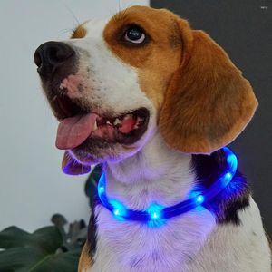 Colliers pour chiens collier de bande lumineuse LED pour animaux de compagnie la nuit USB anti-perte rechargeable