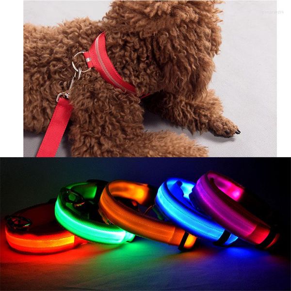 Colliers pour chiens LED pour animaux de compagnie Collier en nylon lumineux Rechargeable Nuit Sécurité Clignotant Rougeoyant USB Charge / Batterie Modèle Produits