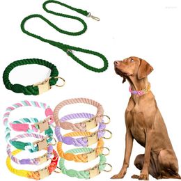 Collares para perros, collar de macarrón para mascotas, juego de correas, cuerda de algodón trenzada para cachorros, accesorios de plomo resistentes de alta calidad