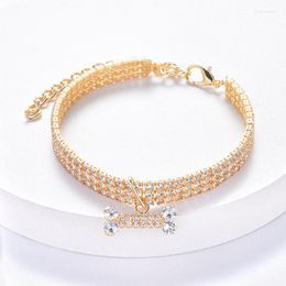 Colliers pour chiens collier pour animaux de compagnie chat et fournitures réglables avec trois bijoux en os de Zircon de diamant de Drainage collier haut de gamme de luxe