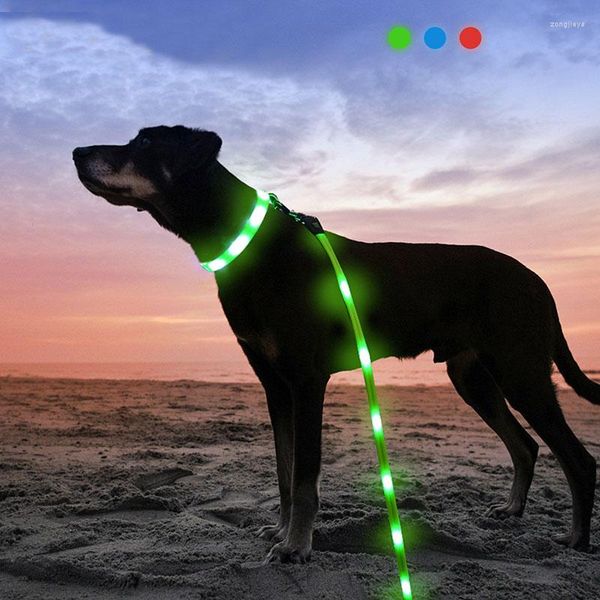 Collares para perros Productos de seguridad nocturna para mascotas Correa retráctil USB con bolsa LED