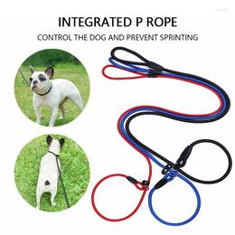 Collares para perros Pet P Chain Lead Rope Pull Belt Walk