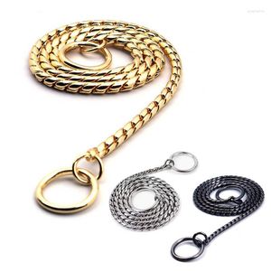 Colliers pour chiens Pet P serpent chaîne collier étrangleur fort collier laisse pour petits moyens grands chiens commande obéissance formation Slip