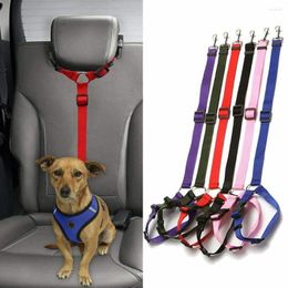 Colliers pour chiens Produits pour animaux de compagnie Harnais de ceinture de sécurité de voiture réglable universel pratique pour chat