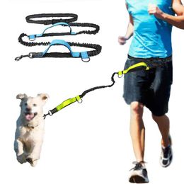 Hondenkragen huisdier reflecterende riem buitentraining running jogging elastisch met taille riem handsvrije pull d-ring rieentjes