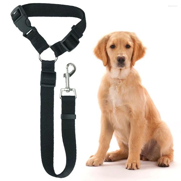 Colliers de chien ceinture de sécurité pour animaux de sécurité laisse de sécurité réglable avec des chiens à clip