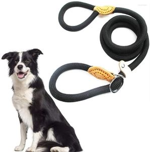 Collares para perros, correa antideslizante para mascotas, cuerda de nailon para perros, Collar de correas de estrangulamiento para entrenamiento de caminar pequeño, mediano y grande