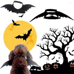 Hondenkragen PET Levert Cat Halloween Bat Wing Decoratiekleding met tractierope borst rug accessoires