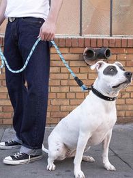 Colliers pour chiens, fournitures pour animaux de compagnie, poignée EVA, corde de Traction, fil réfléchissant étendu de 1.5 mètres, protège-main