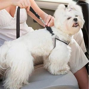 Hondenkragen huisdier geleverd aangelijnde harnas reflecterende verstelbare accessoires kraagwagen veiligheidsgordel