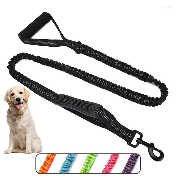 Colliers pour chiens corde élastique de Traction pour animaux de compagnie pour chiens de taille moyenne laisse réfléchissante en Nylon Durable ceinture d'entraînement en plein air Anti-traction