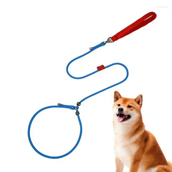 Colliers pour chiens, corde de Traction pour animaux de compagnie, robuste pour l'entraînement avec chiens coulissants de taille moyenne, grande et petite