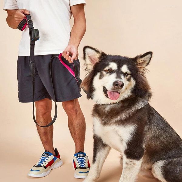 Collares para perros Cuerda de tracción para mascotas Bolsa de basura para caminar de nailon extendida reflectante Suministros de bolsillo