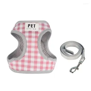 Colliers pour chiens, gilet pour animaux de compagnie, ensemble réglable, boucle rotative, outil de marche pour Papillons, teckels, Mini chiens et