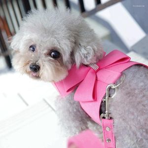 Hondenkragen huisdier vest harnas riem ingesteld voor puppy kat pure kleur roze prinses kraag riem riem tractie touw