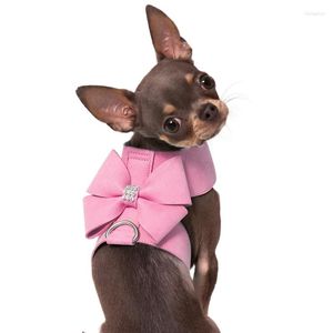 Hondenkragen Pet Vest-stijl Harnas Kleine en middelgrote kattenriem van kraagbenodigdheden met groothandel puppyaccessoires