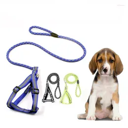 Colliers de chien animaux de compagnie harnais réfléchissant collier de plomb ensemble nocturne laisse rond corde lumineuse poitrine accessoires