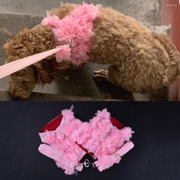 Colliers pour chiens roses, petit animal de compagnie, chiot, chat, gilet de marche réglable, veste, harnais et poignée de laisse, ensemble avec tissu à fleurs fantaisie