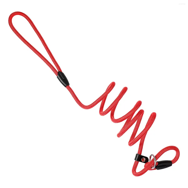 Colliers pour chiens POPETPOP Laisse de marche Formation Corde pour chiot en nylon solide et durable (rouge)