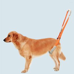 Colliers pour chiens Harnais de ceinture auxiliaire portable Support réglable Outil d'aide à la réadaptation pour les chiens âgés malades handicapés