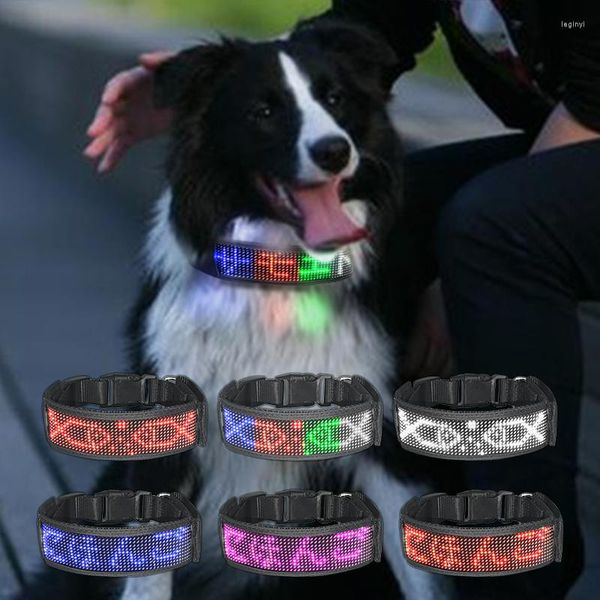 Collares para perros Collar de luz LED impermeable programable adecuado para cachorros con carga USB