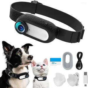 Colliers de protection pour chiens, moniteur de protection, NoWiFi, caméra pour chat nécessaire, avec enregistrements vidéo, accessoires d'extérieur sans fil