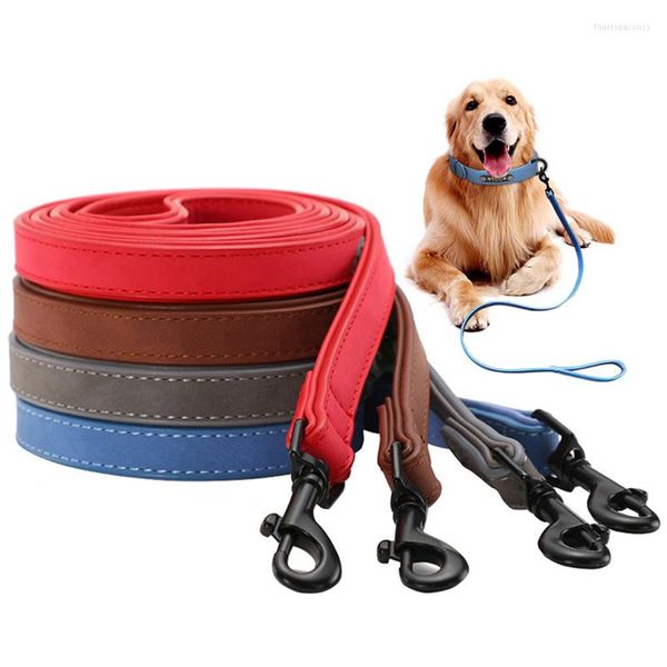 Colliers pour chiens Laisses en PU Pet Marche Formation Corde Laisse Walkin Lead Line Traction Idéal pour le camping