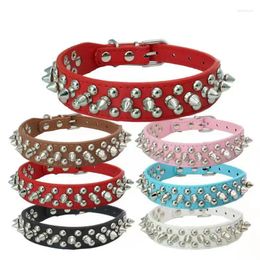 Hondenkragen PU Leather Round Head Anti-Bite Pet Collar Zeer coole klinknagels Nagels Punk Wind Cat Source Factory