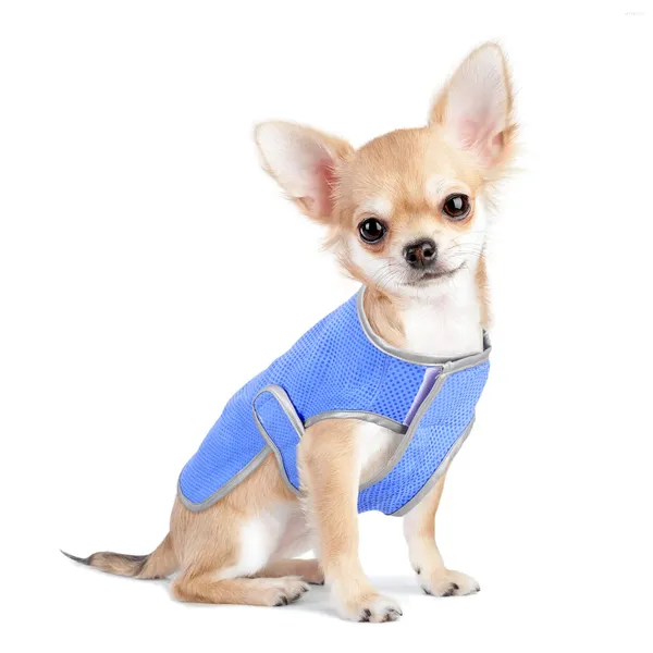 Collares para perros Chaleco de enfriamiento para cachorros Chaleco más fresco Chalecos para perros pequeños Chaqueta para mascotas Suministros Ropa Camisa