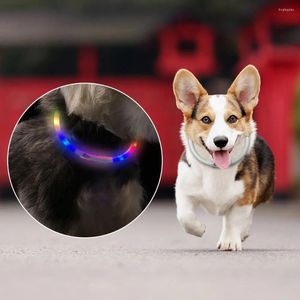 Colliers en Silicone pour chiens et chiots, clignotant, LED, chargement USB, multicolore, taille découpable pour petits, moyens et grands chiens