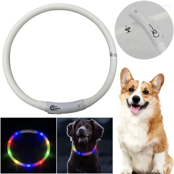 Colliers clignotants en Silicone multicolores pour chiens et chiots, chargement USB, taille lumineuse, découpable pour la marche nocturne des animaux de compagnie