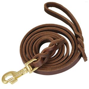 Collares para perros Cachorro con mosquetón Entrenamiento Portátil Caminando Suave Trenzado Pequeño Mediano Grande Regalo Cuero de vaca Mango Correa Fuerte