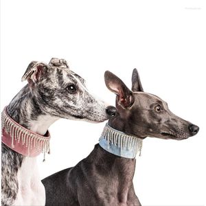 Colliers pour chiens pur fait à la main Flash collier plein diamant collier Whybit Greyhound bijoux accessoires marche