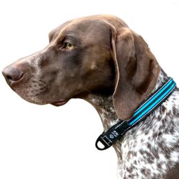 Collares para perros Collar LED recargable a prueba de lluvia Nylon USB-C collar luminoso 3 colores 6 modos iluminan mascotas para perros